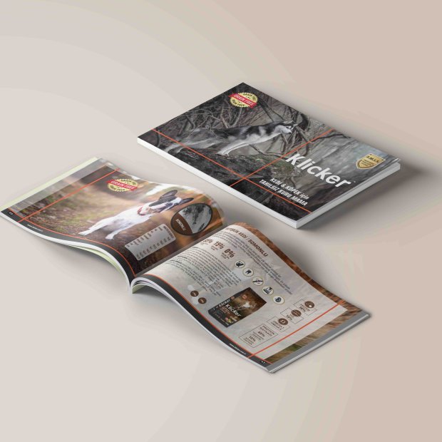 35 Web Tasarım İzmir | Klicker Katalog Tasarımı